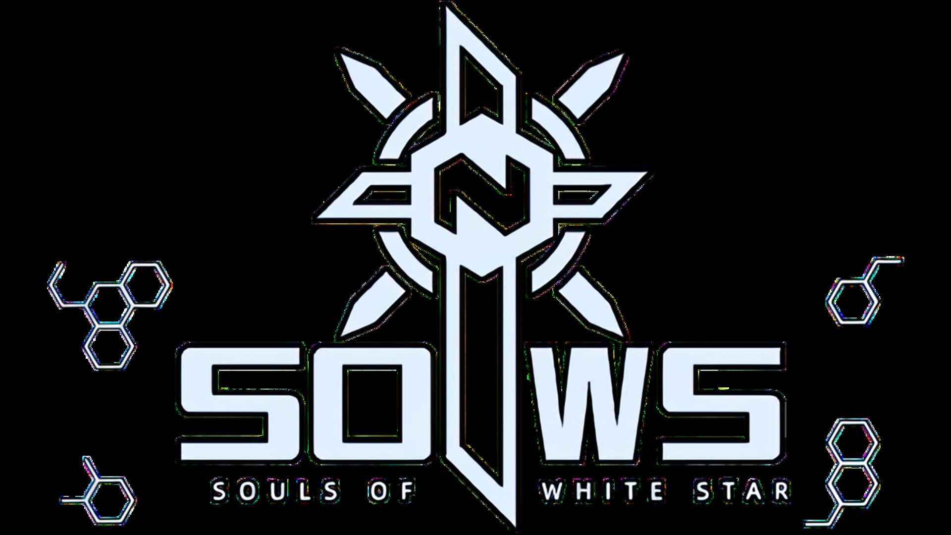 Foto do jogo Souls of White Star