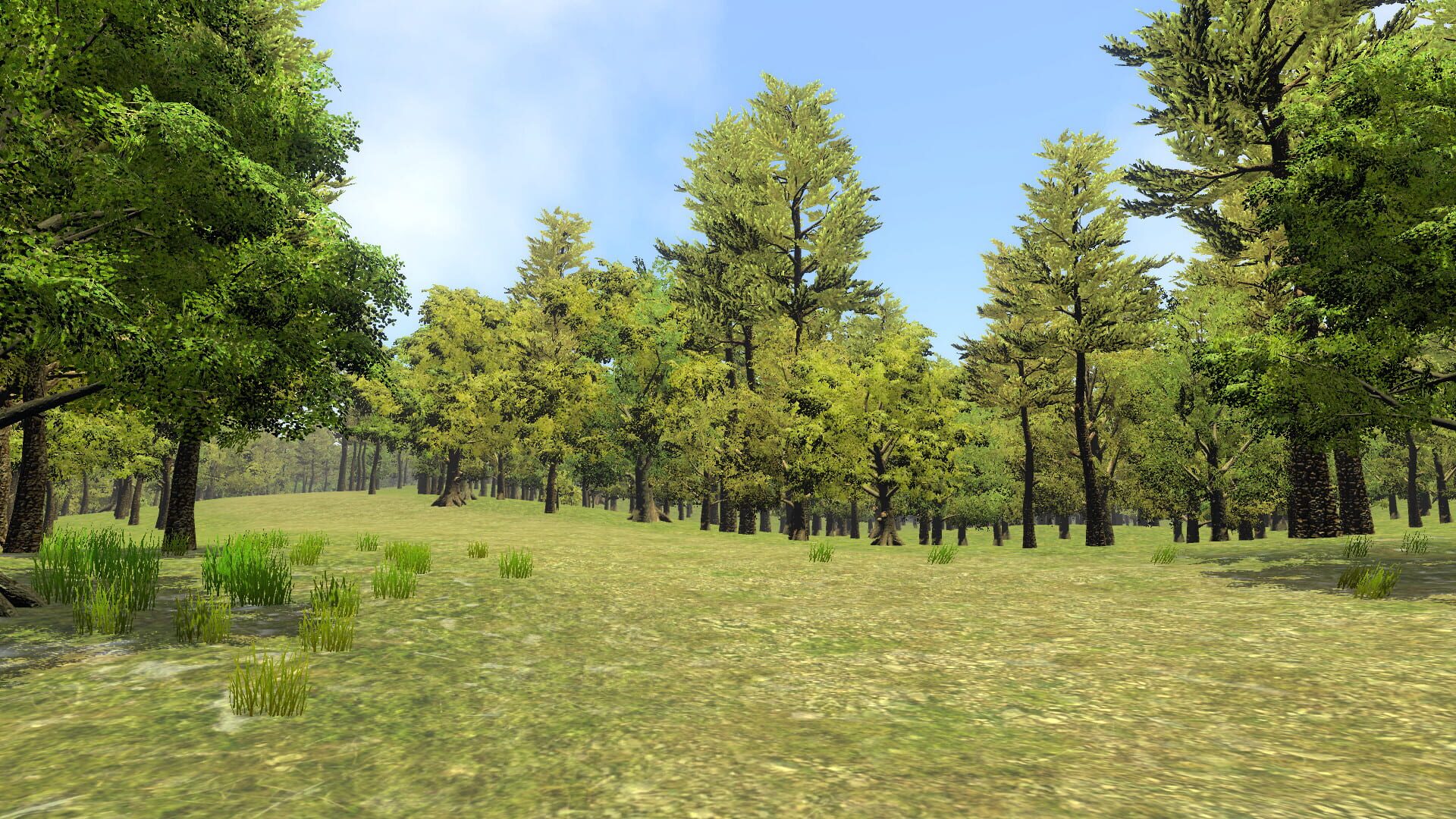 Foto do jogo Go Outside Simulator