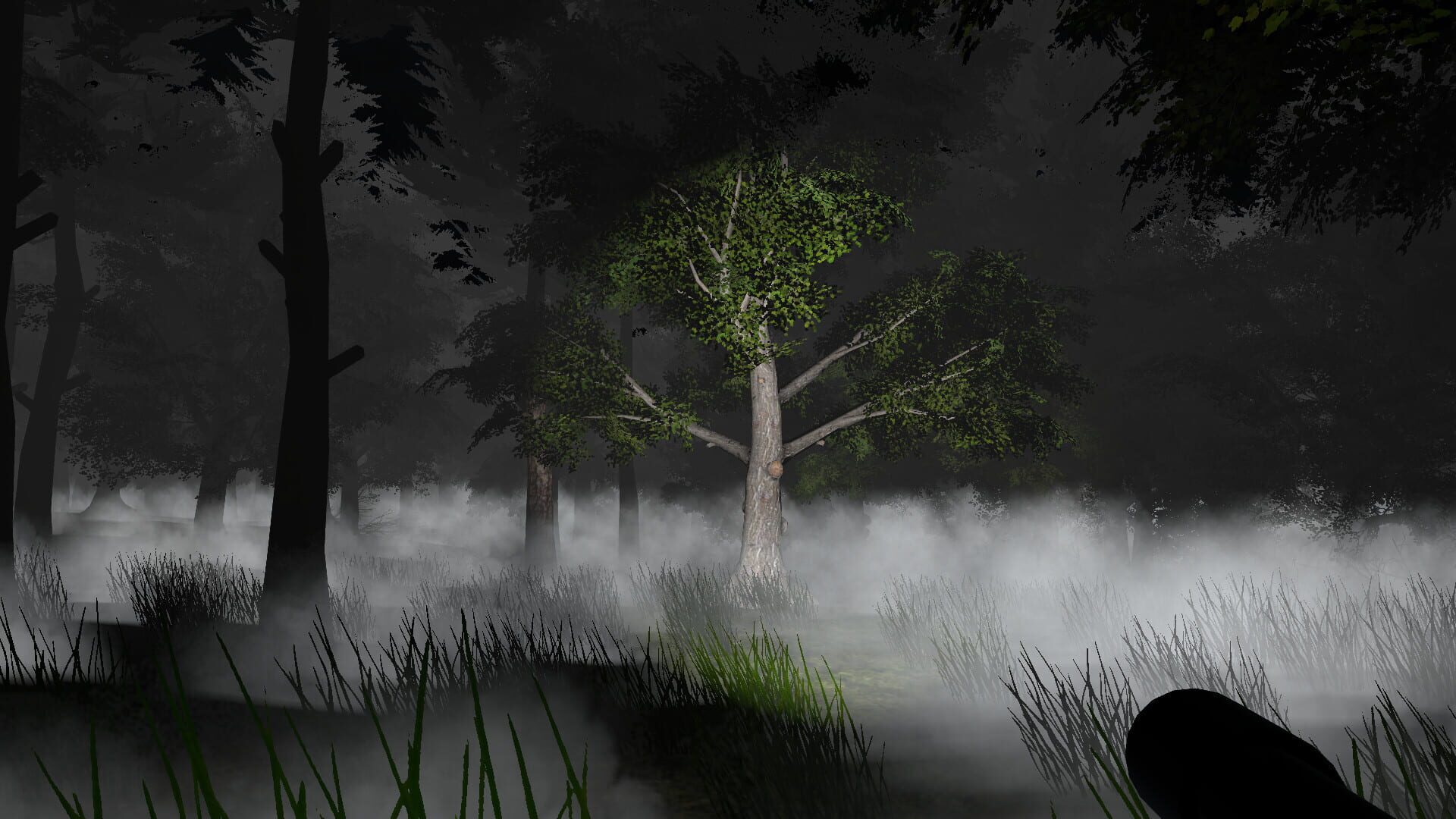 Foto do jogo Go Outside Simulator