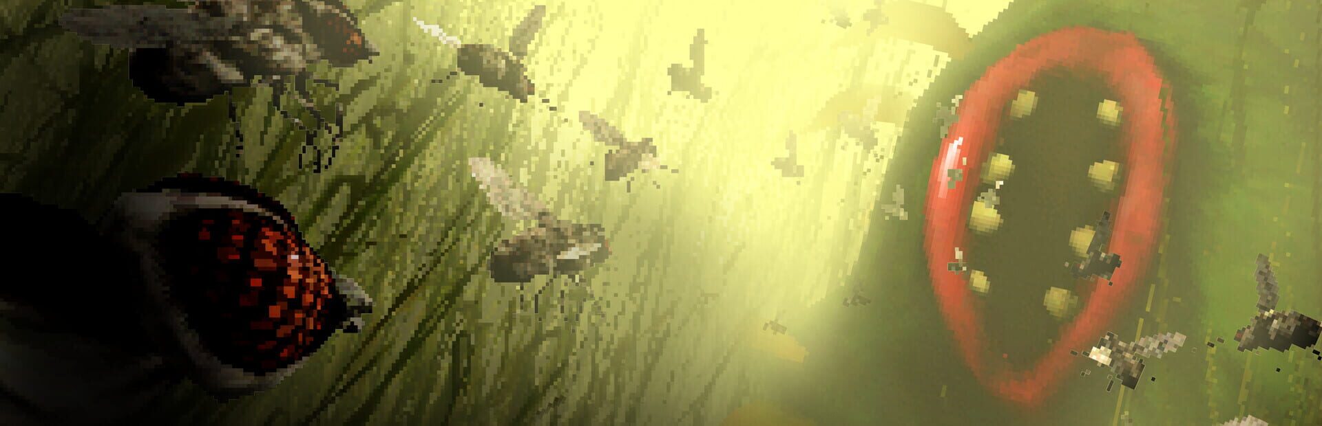 Foto do jogo The Hungry Fly