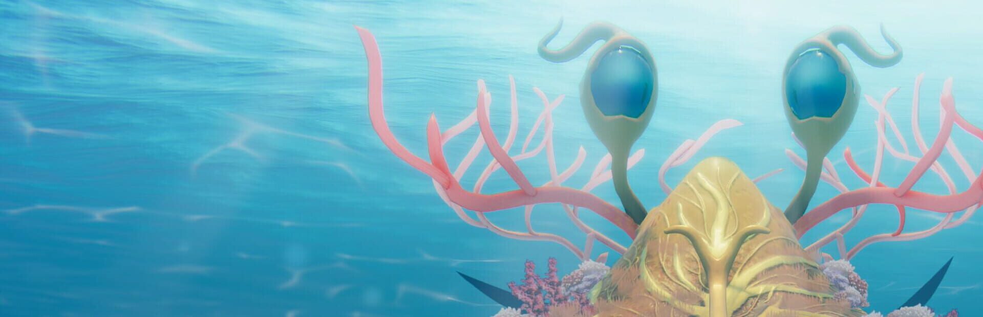Foto do jogo Crab God