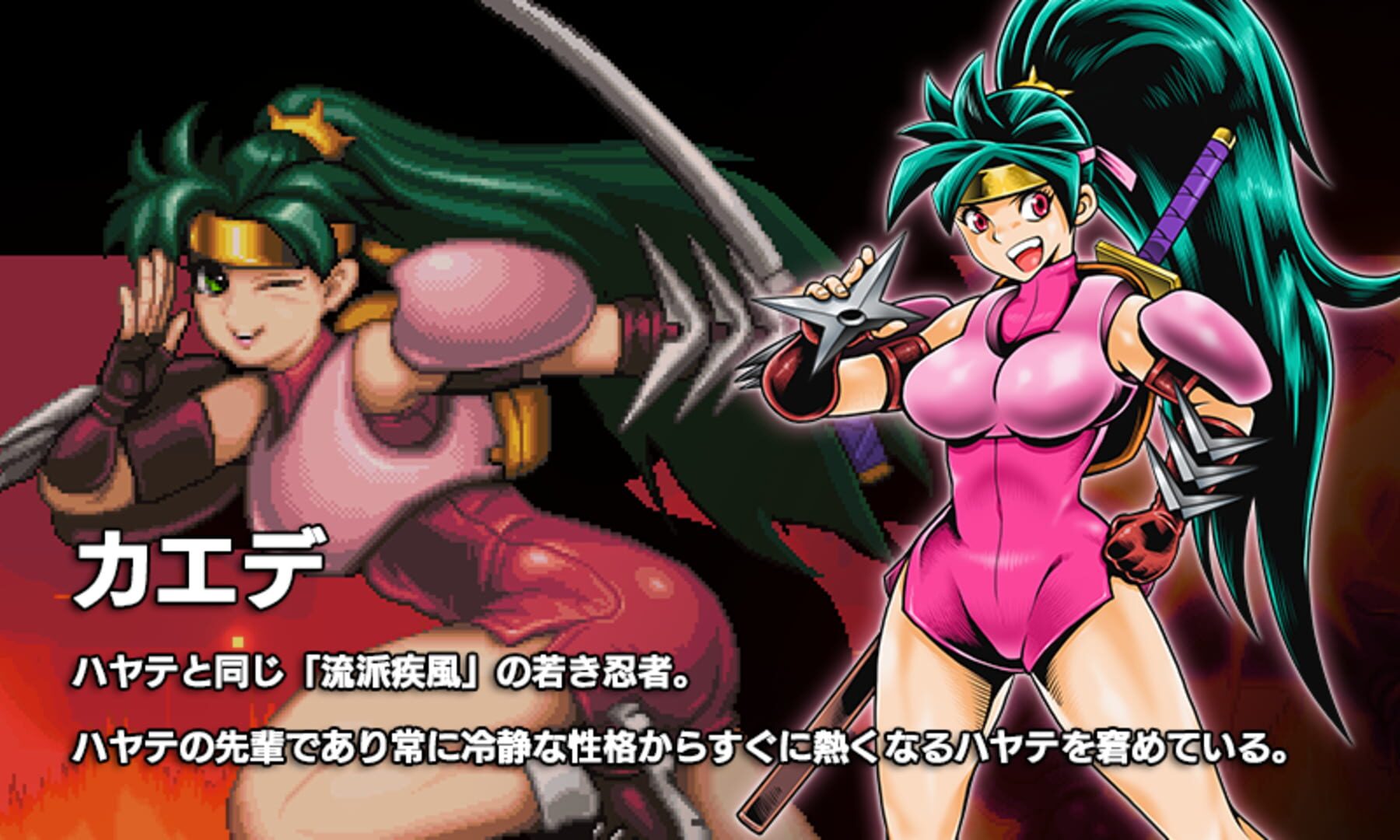 Foto do jogo Shadow of the Ninja Reborn