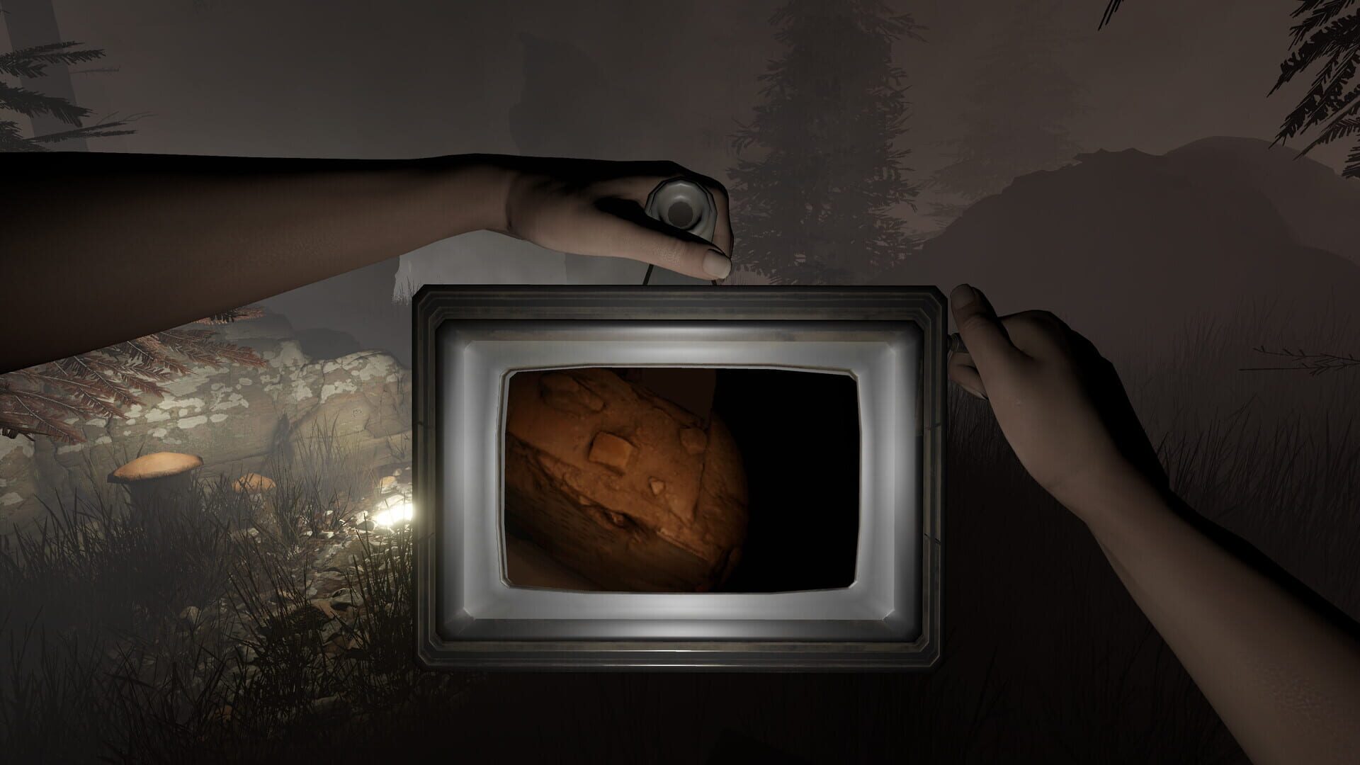 Foto do jogo Sylvio: Black Waters