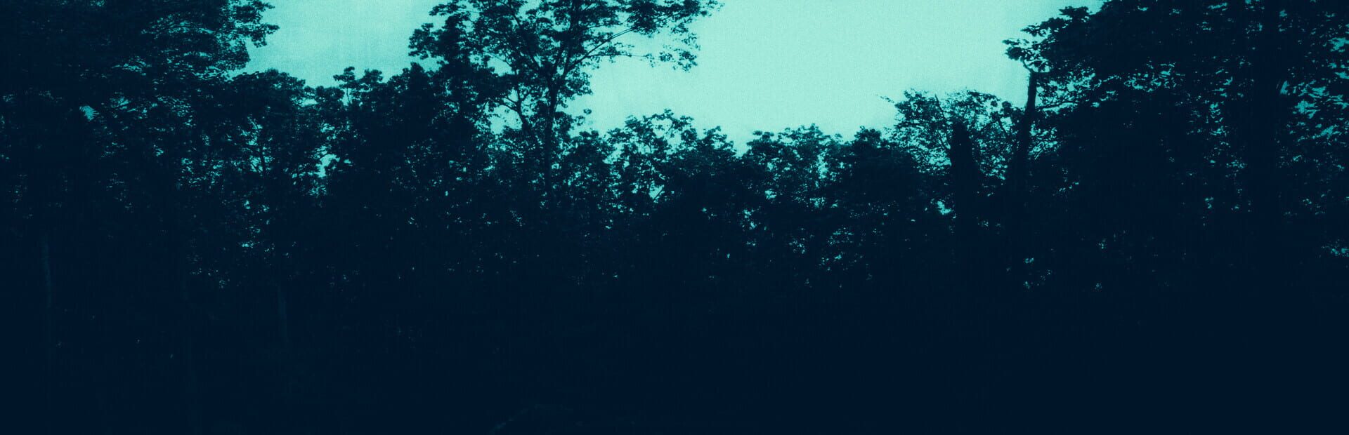 Foto do jogo The Holyburn Witches