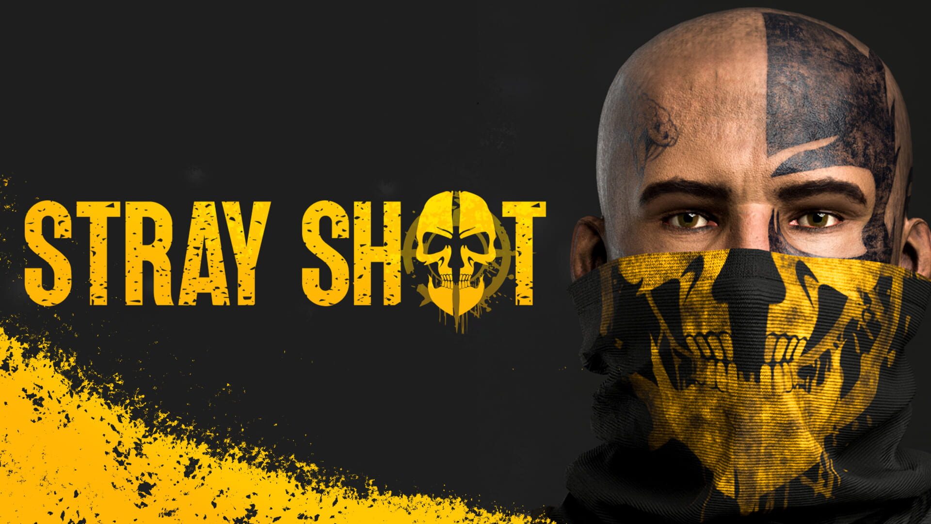 Foto do jogo StrayShot