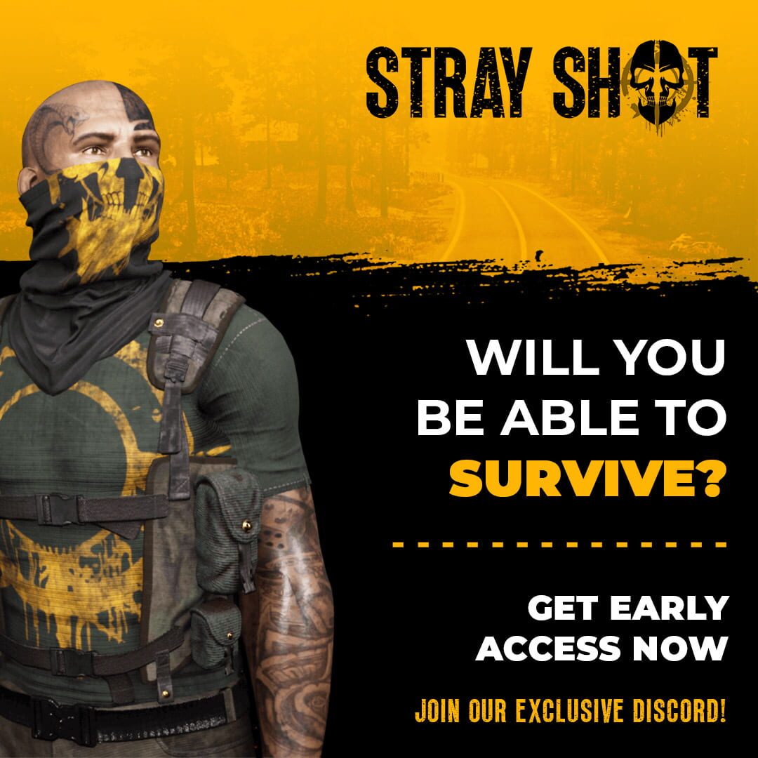 Foto do jogo StrayShot