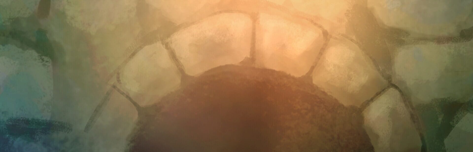 Foto do jogo Witches Wishes and Whispers