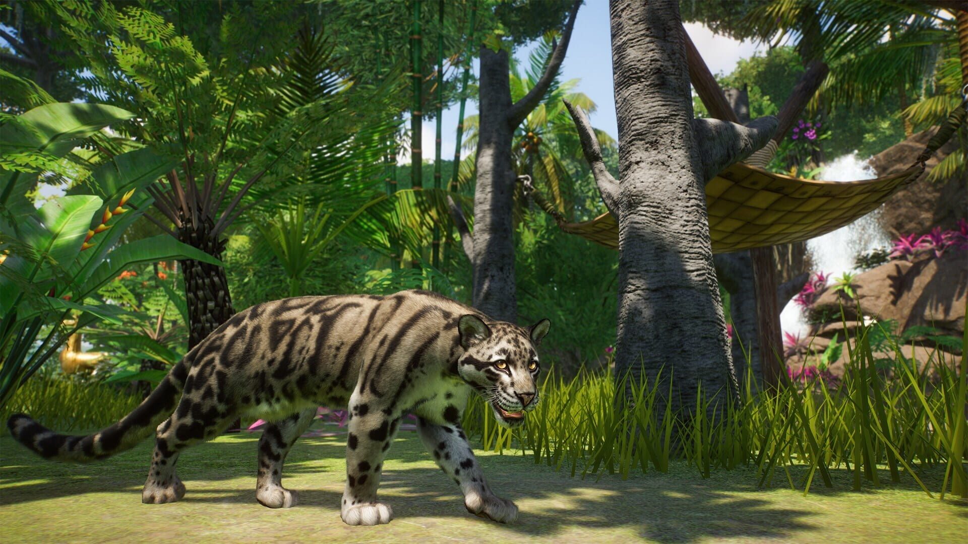 Foto do jogo Planet Zoo: Console Edition - Deluxe Edition