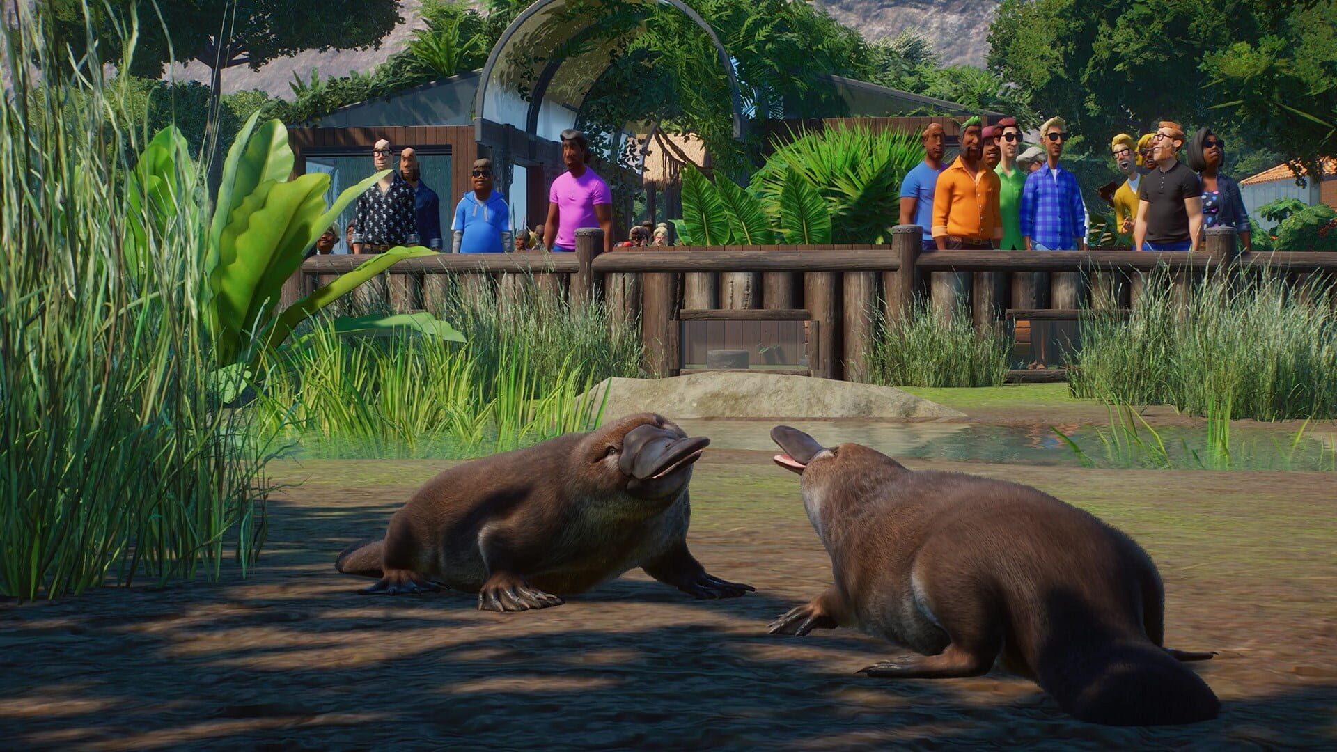 Foto do jogo Planet Zoo: Console Edition - Deluxe Edition
