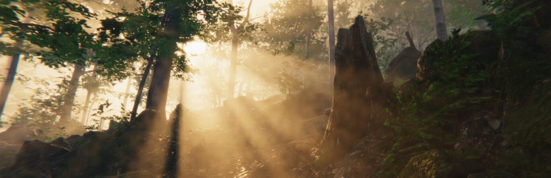 Foto do jogo Left Behind