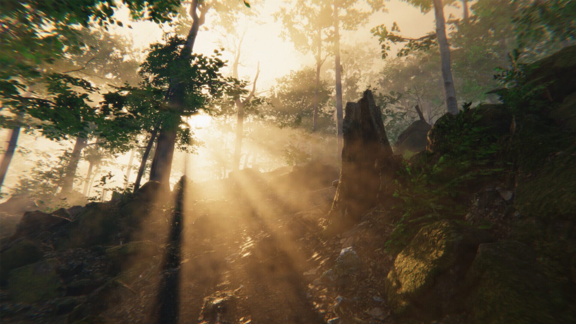 Foto do jogo Left Behind