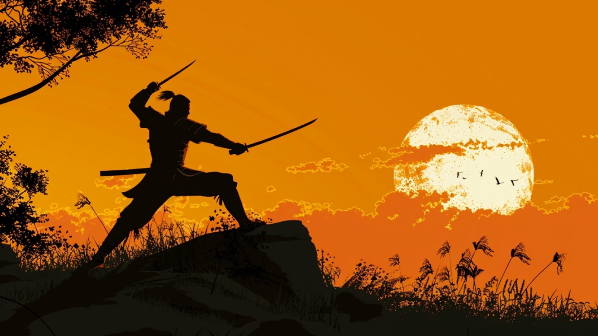 Foto do jogo Robin Hood: Shogun Samurai