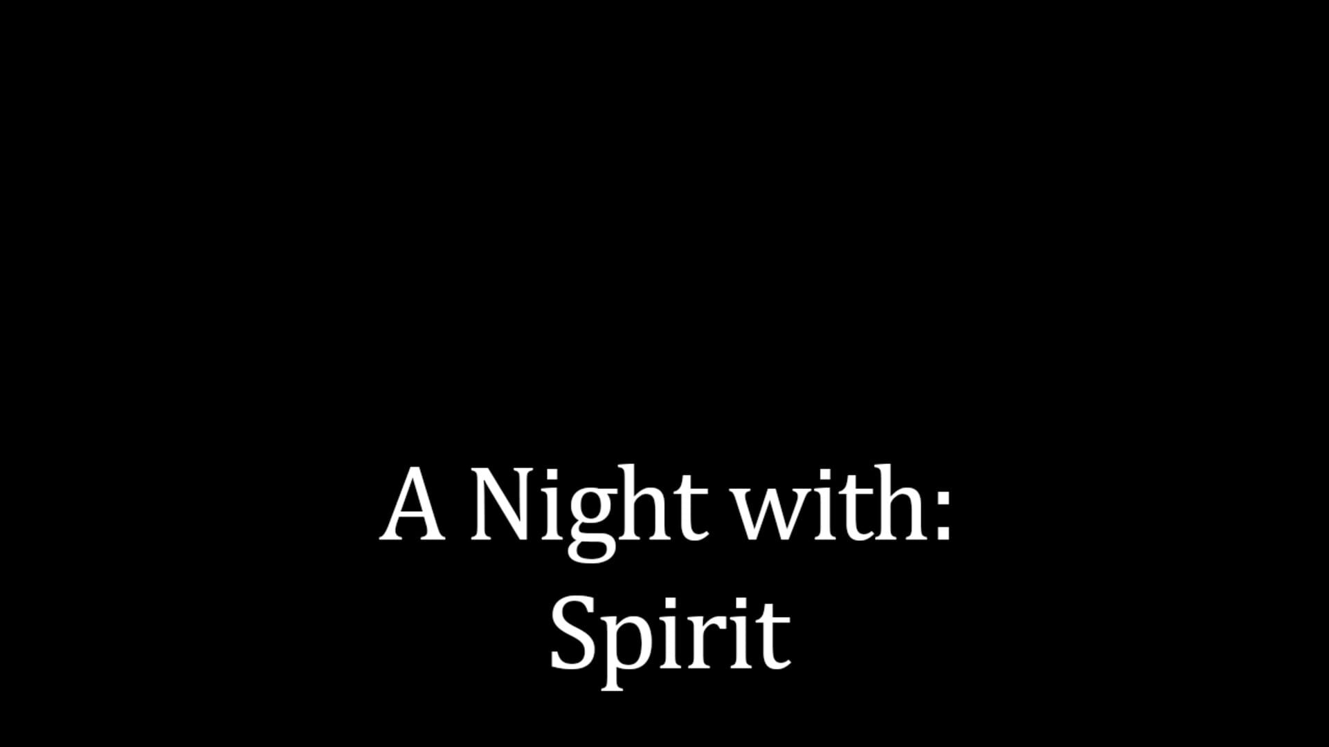 Foto do jogo A Night With: Spirit
