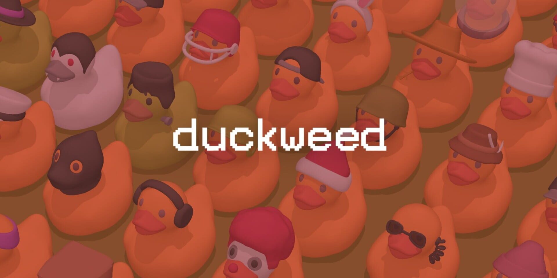 Foto do jogo Duckweed