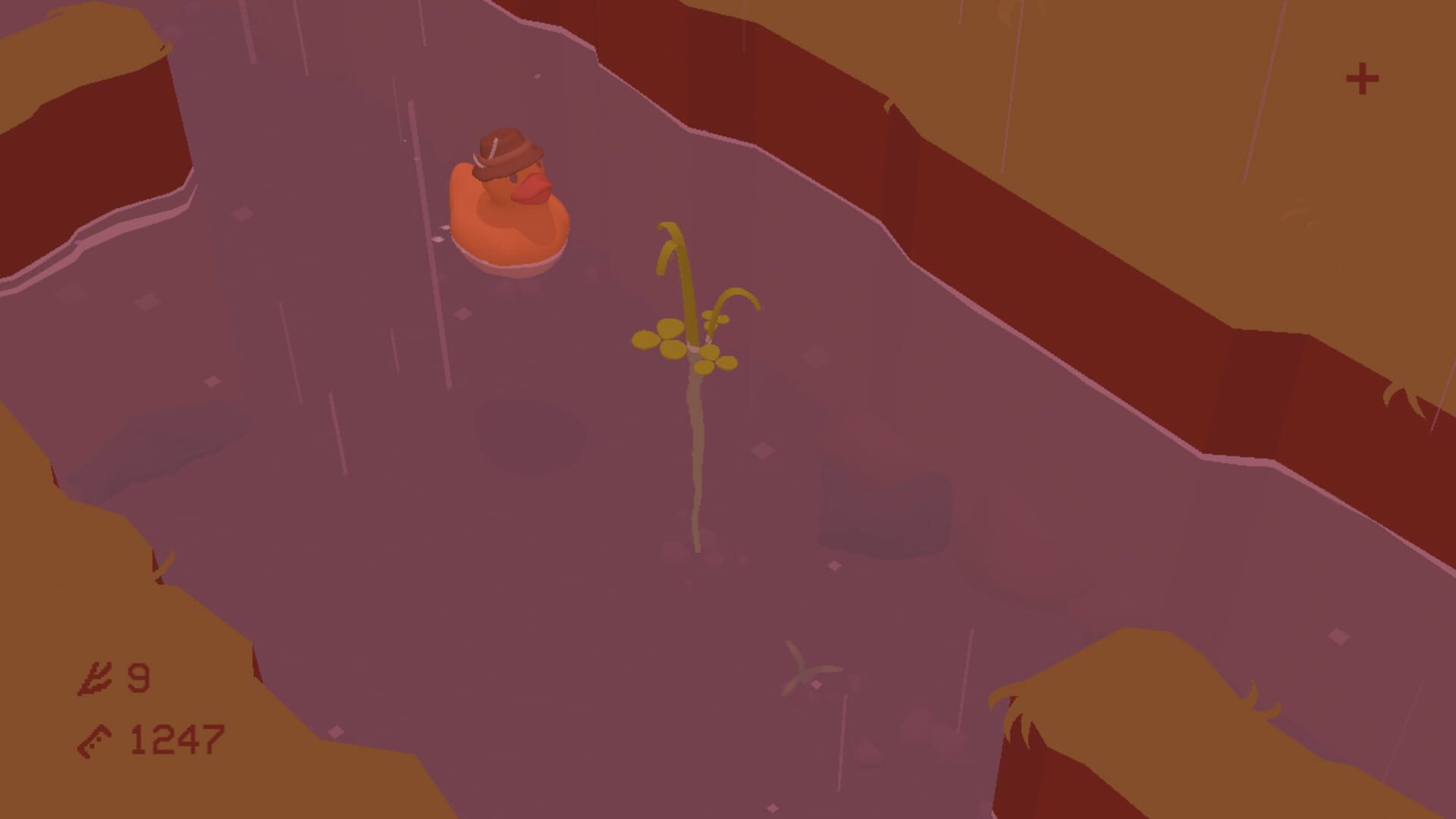 Foto do jogo Duckweed