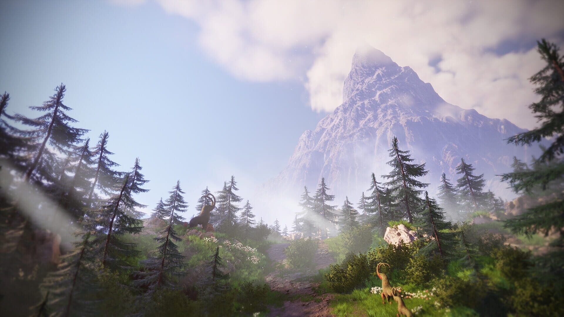 Foto do jogo A Dual Ascent