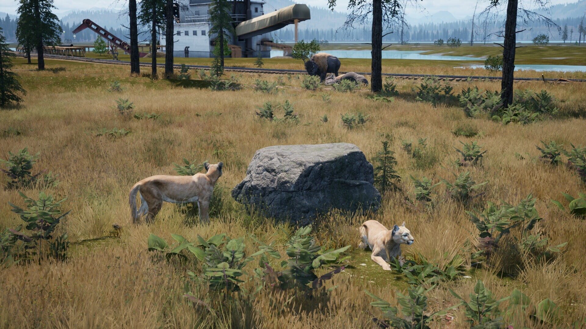 Foto do jogo Railroads Online: Explorer DLC