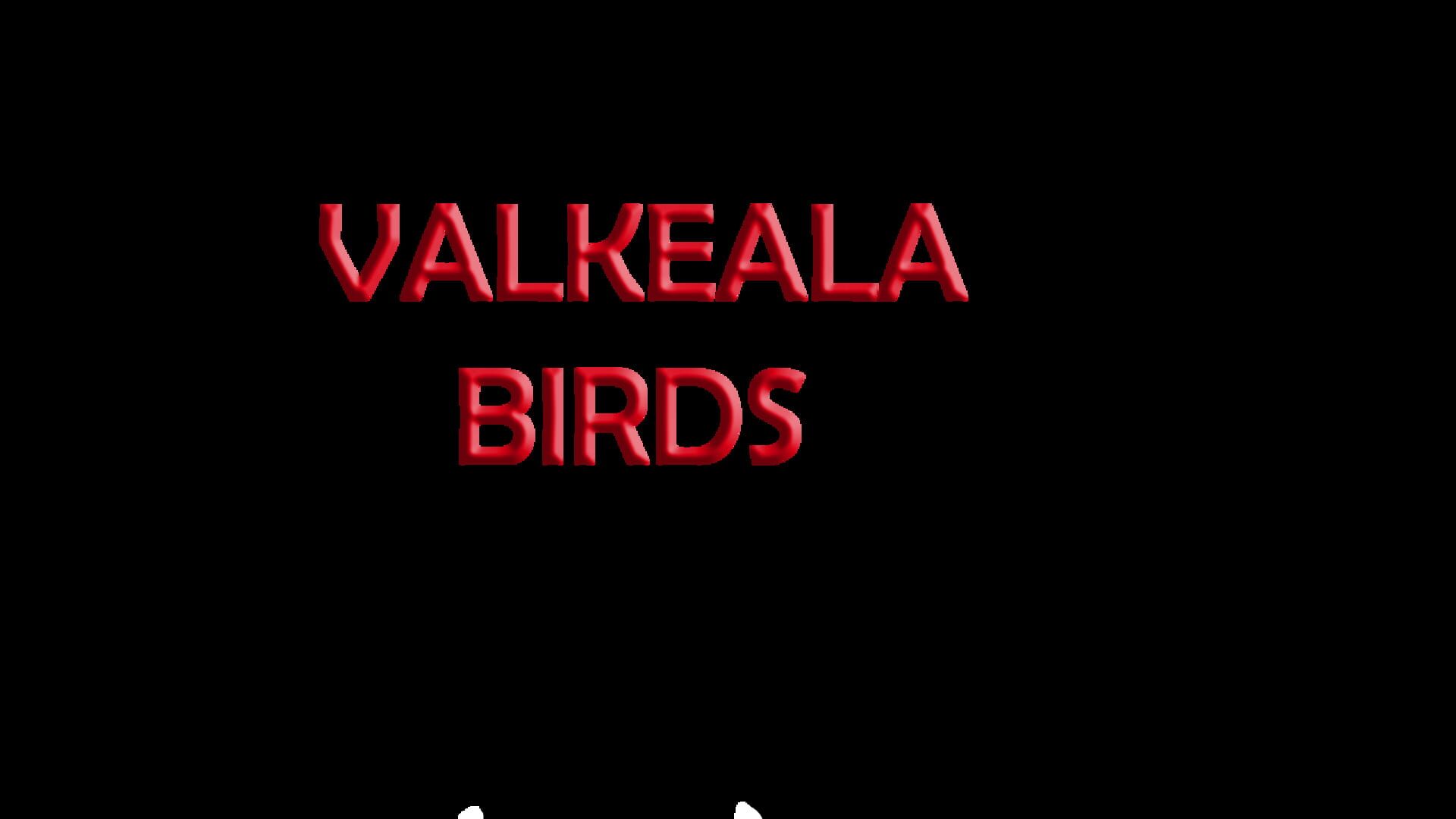 Foto do jogo Valkeala Birds