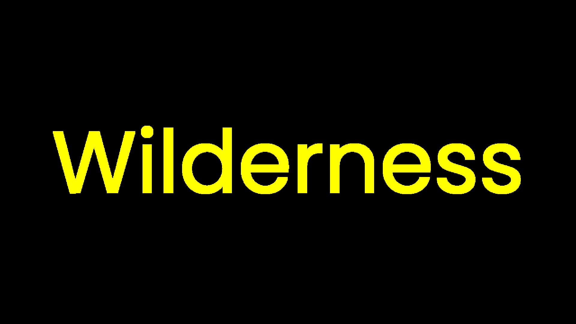Foto do jogo Wilderness