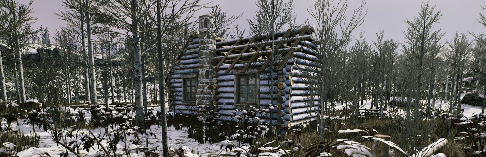 Foto do jogo The Cold White