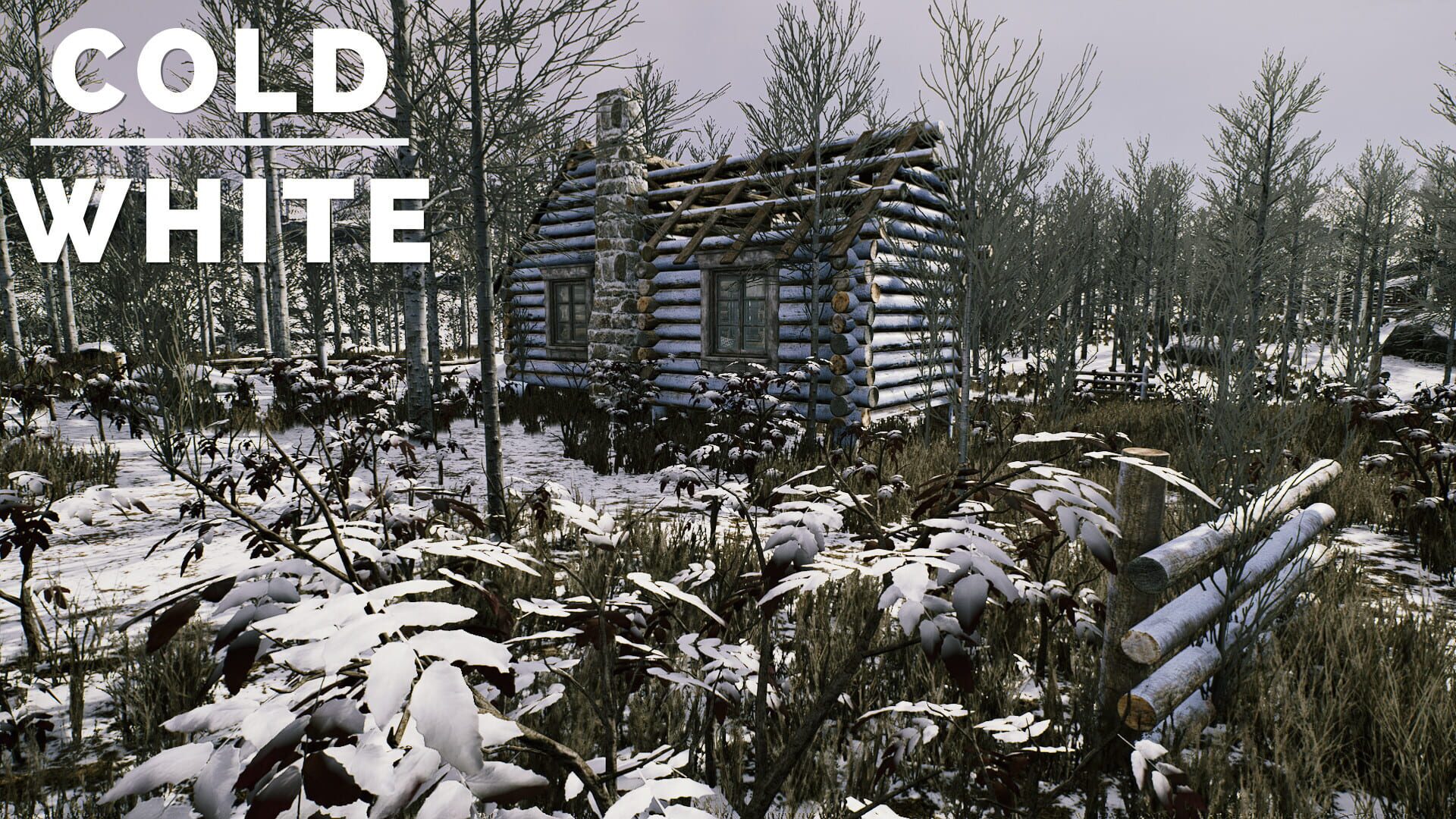 Foto do jogo The Cold White