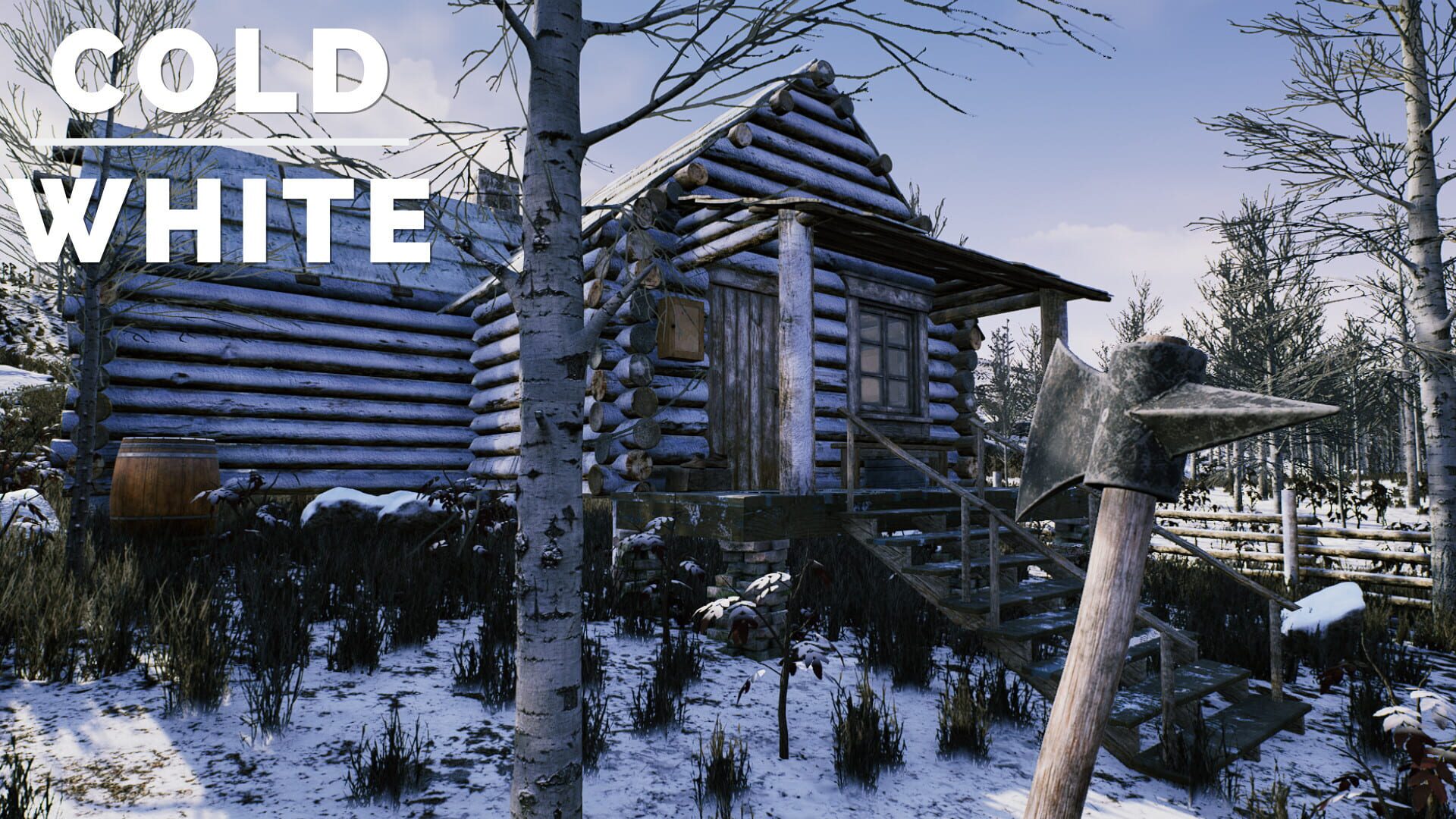 Foto do jogo The Cold White