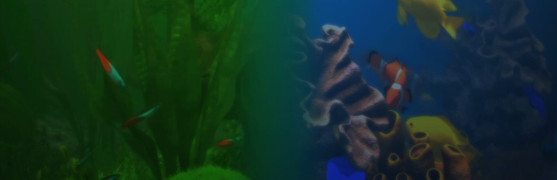 Foto do jogo Behind Glass: Aquarium Simulator