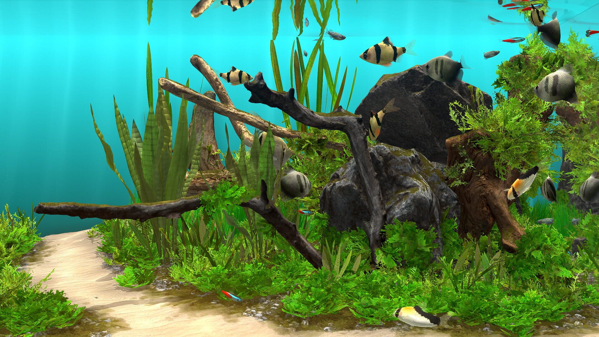 Foto do jogo Behind Glass: Aquarium Simulator