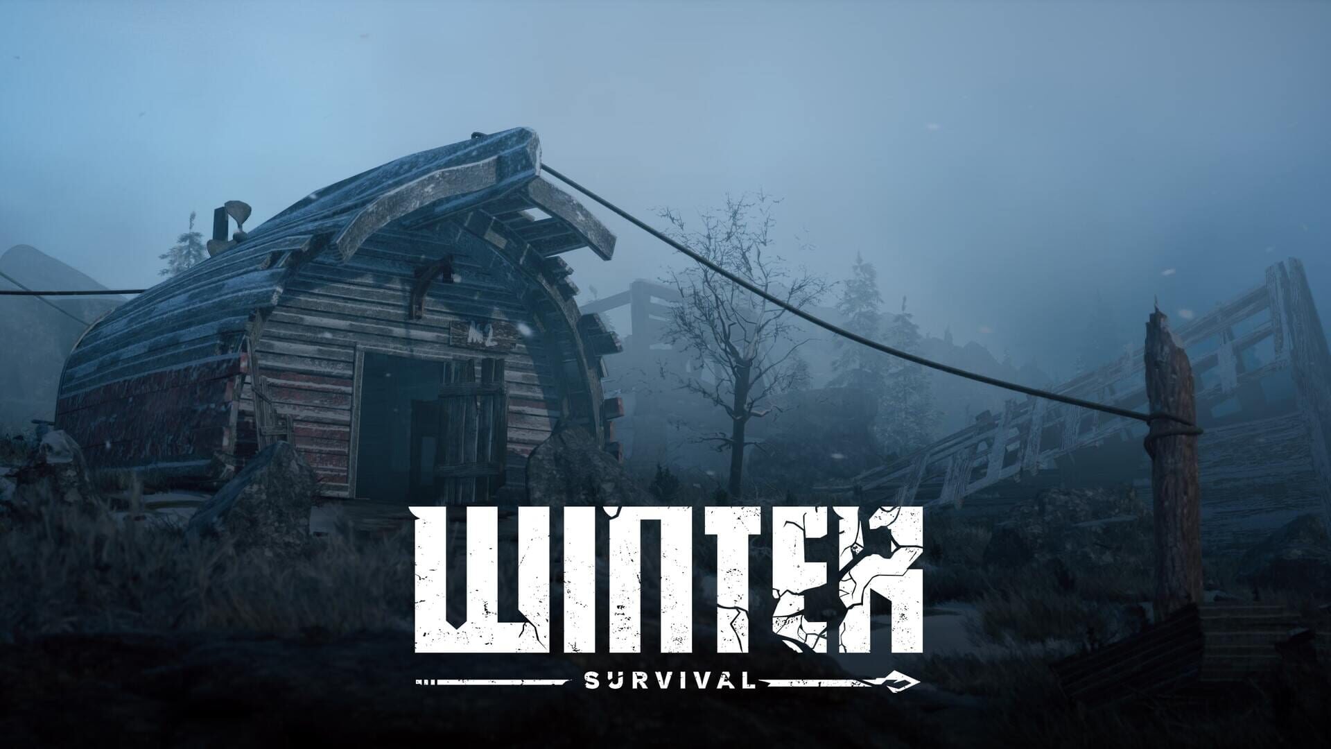 Foto do jogo Winter Survival