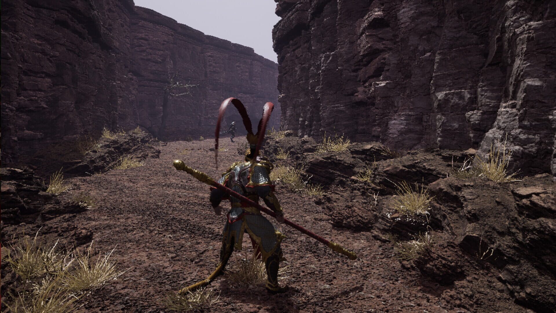 Foto do jogo Wukong Fight in Kaoria