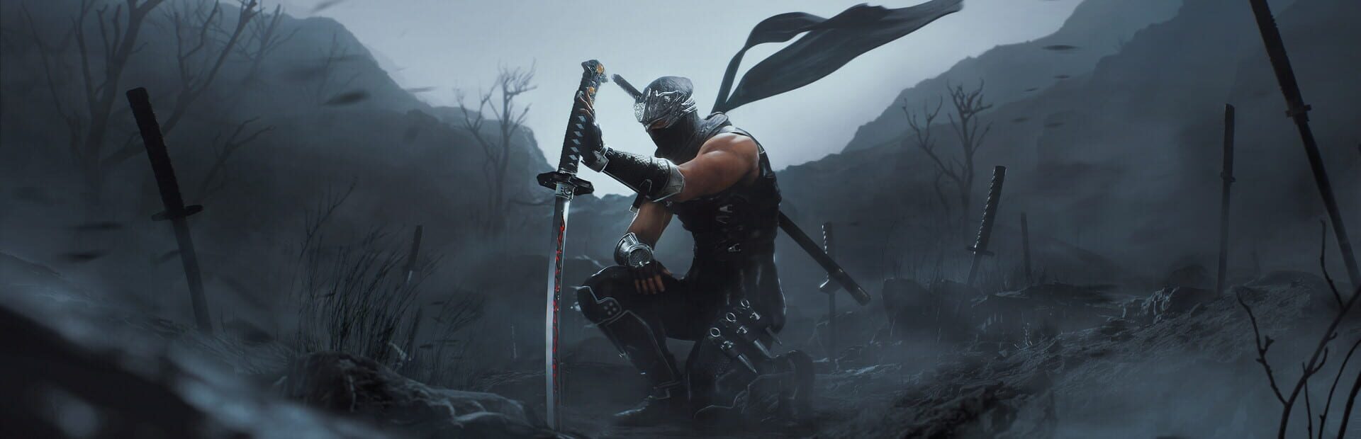 Foto do jogo Ninja Gaiden II Black