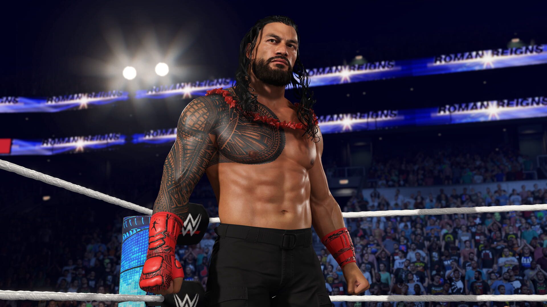 Foto do jogo WWE 2K25