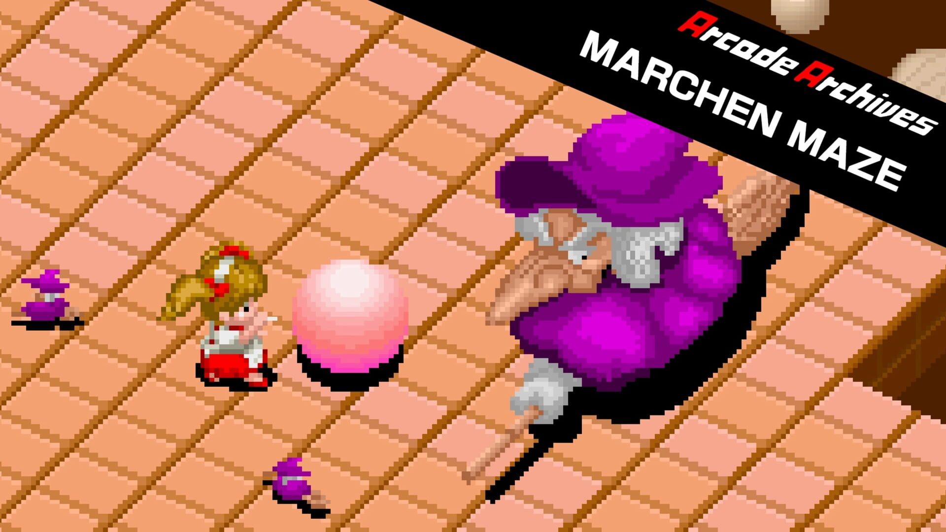 Foto do jogo Arcade Archives: Märchen Maze
