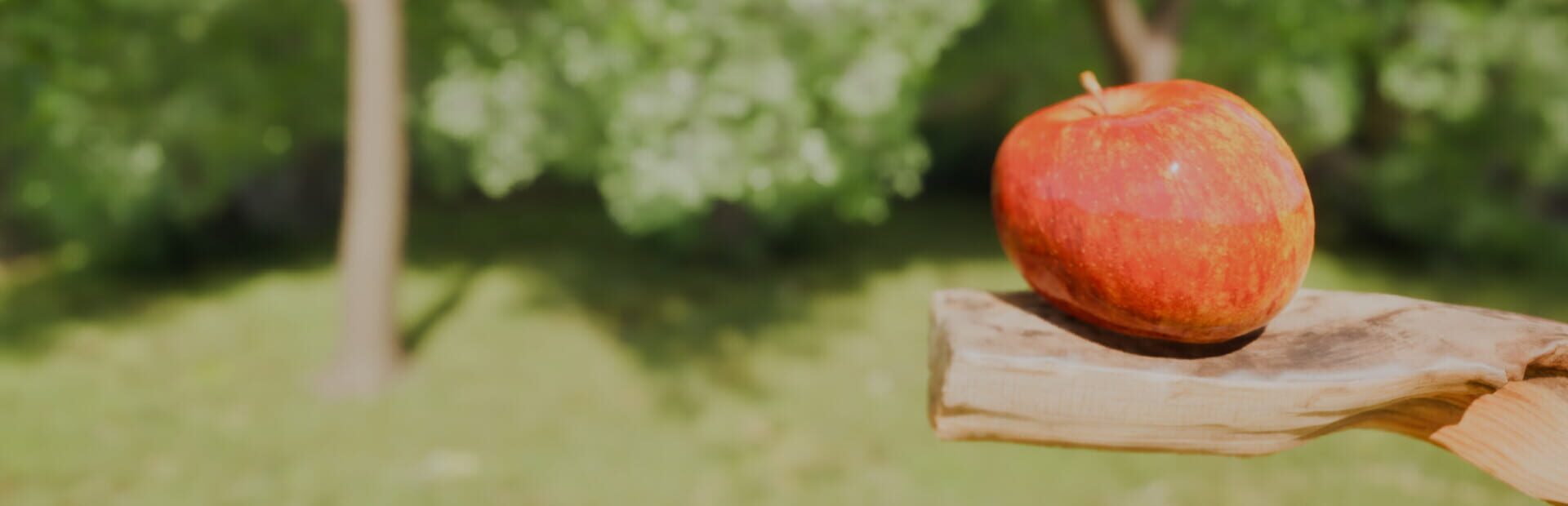 Foto do jogo Gravity's Apple