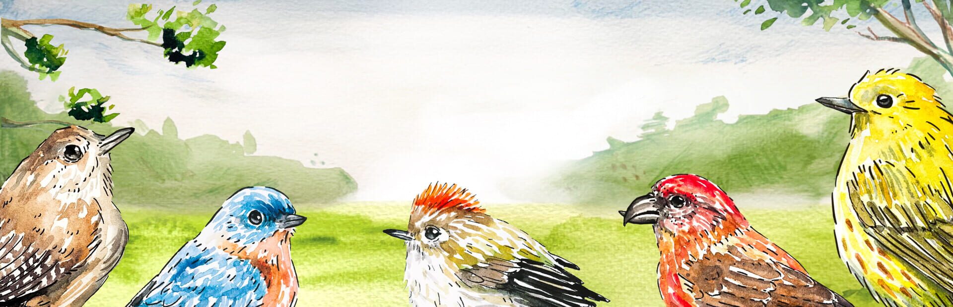 Foto do jogo Birdfull