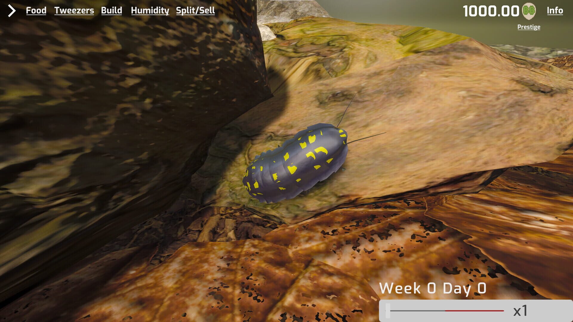 Foto do jogo Isopod Keeping Simulator