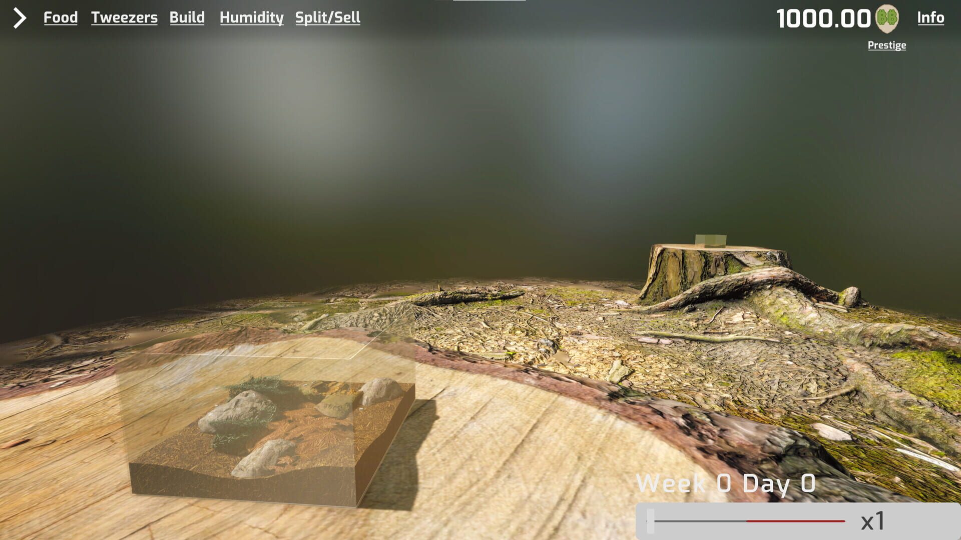 Foto do jogo Isopod Keeping Simulator
