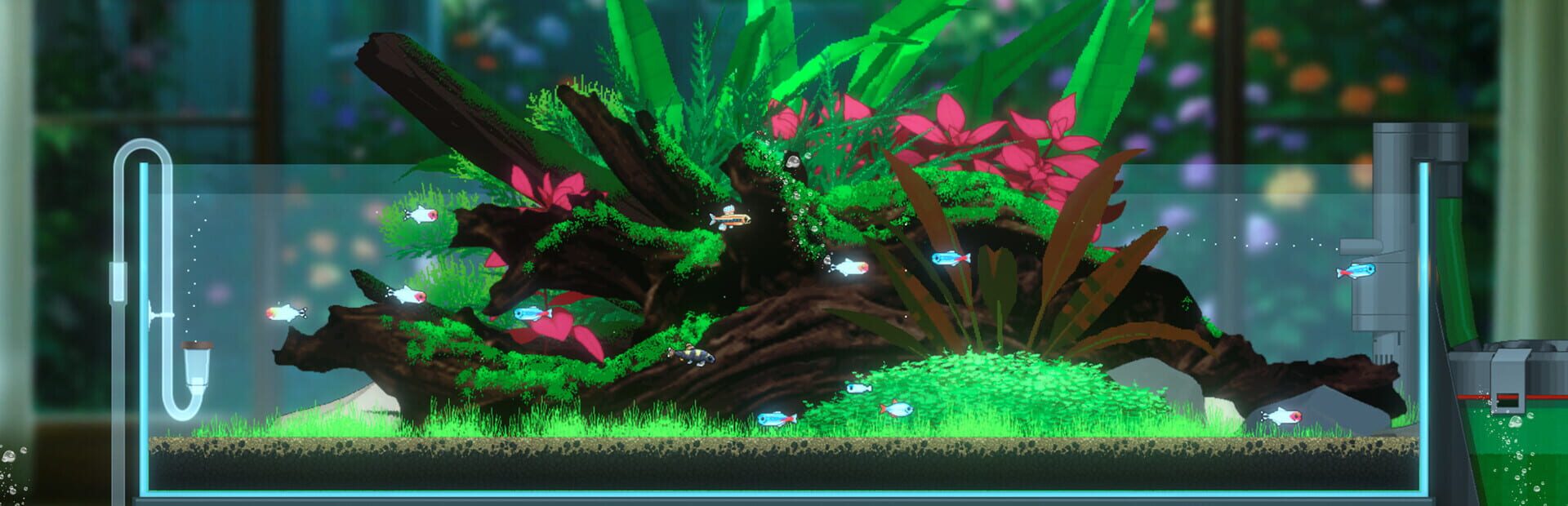 Foto do jogo Joyquarium