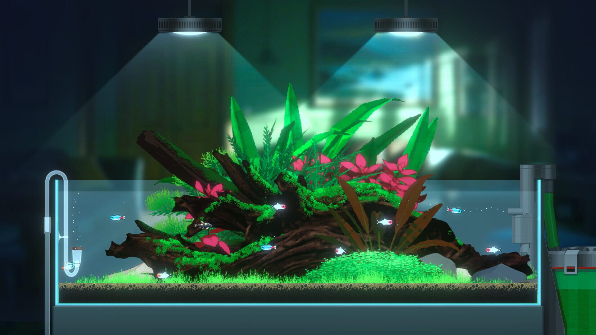 Foto do jogo Joyquarium
