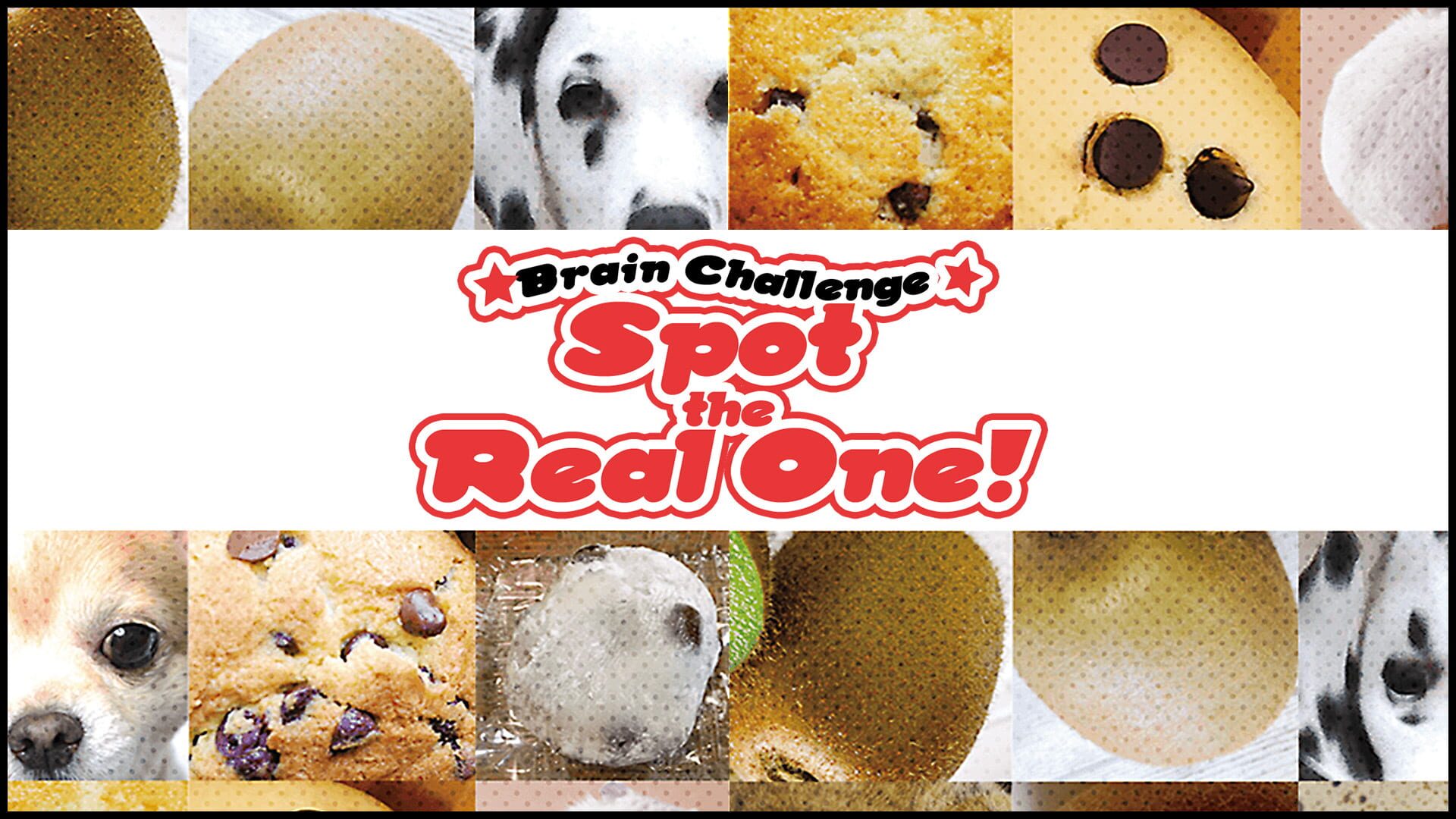Foto do jogo Brain Challenge Spot the Real One!