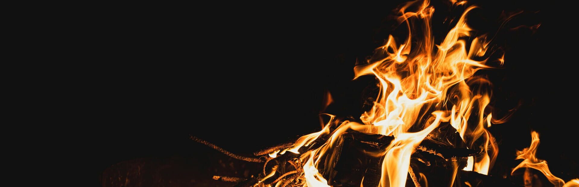 Foto do jogo Last Summer at Camp Apocalypse Blood: 101 Ways to Not Capture Bigfoot