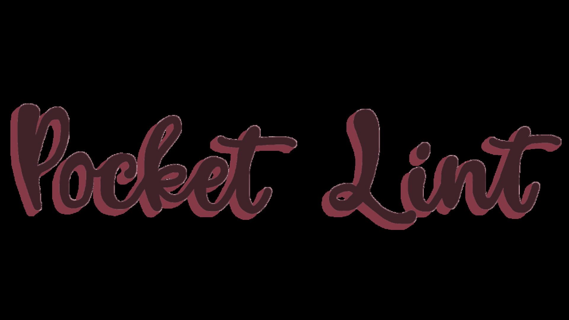 Foto do jogo Pocket Lint