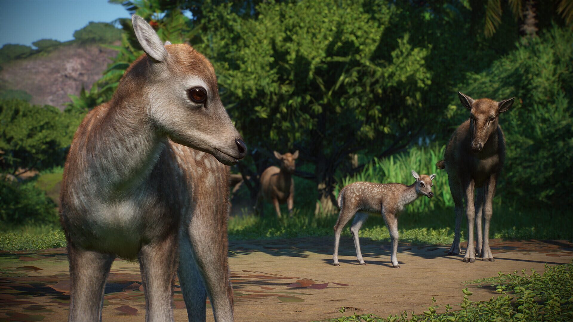 Foto do jogo Planet Zoo: Asia Animal Pack
