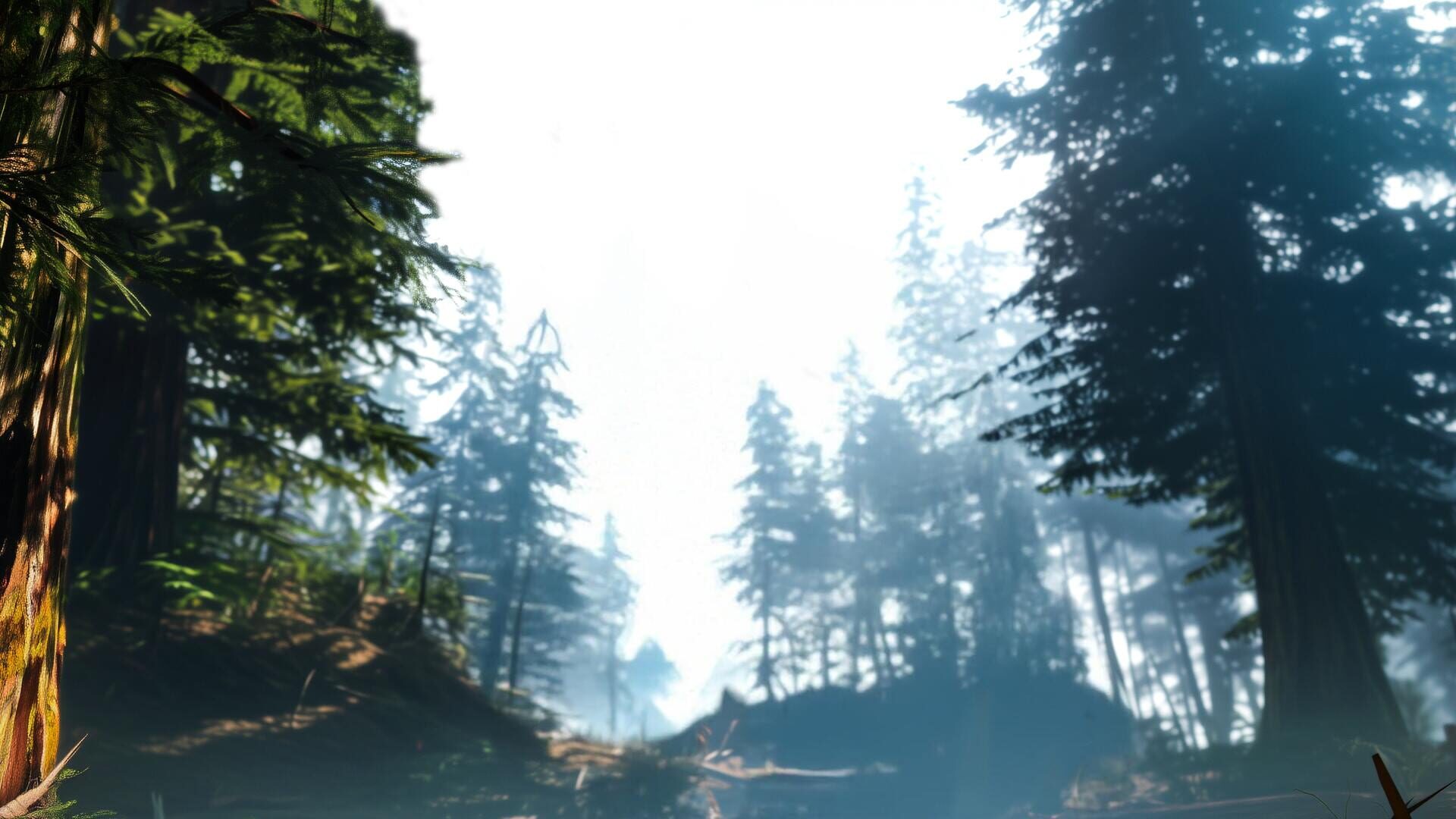 Foto do jogo Bigfoot Hunting
