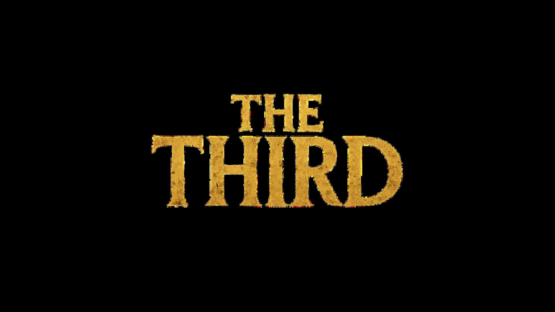 Foto do jogo The Third