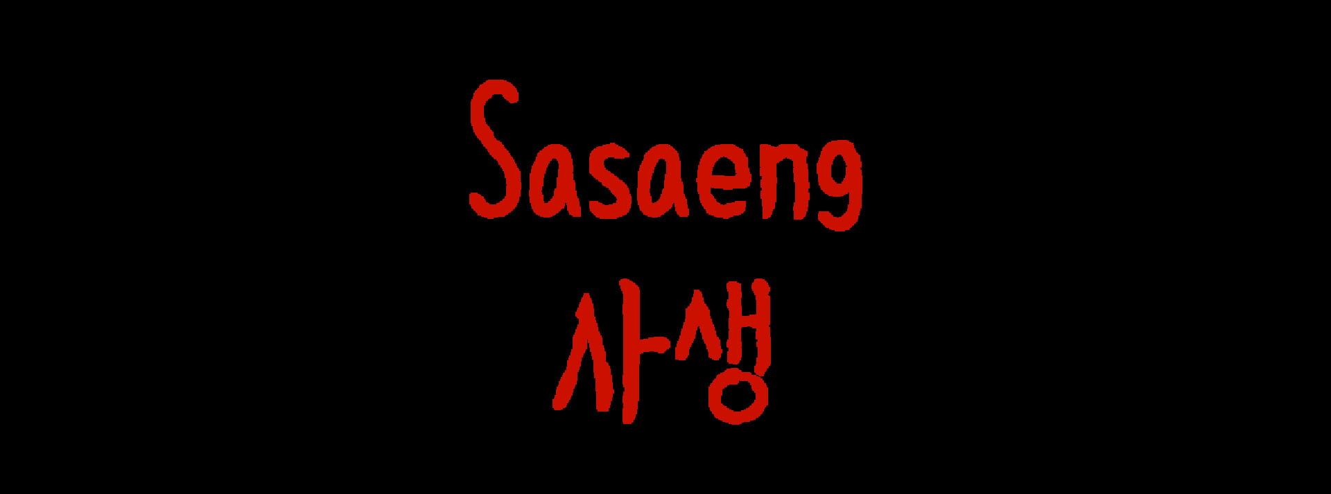 Foto do jogo Sasaeng