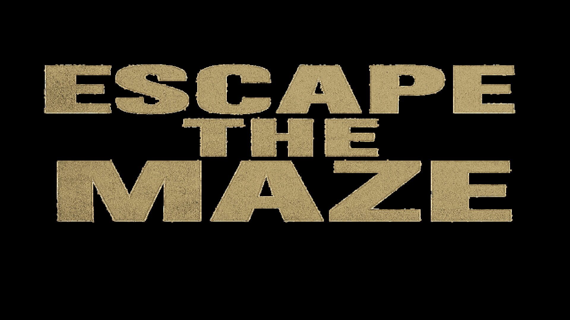 Foto do jogo Escape the Maze