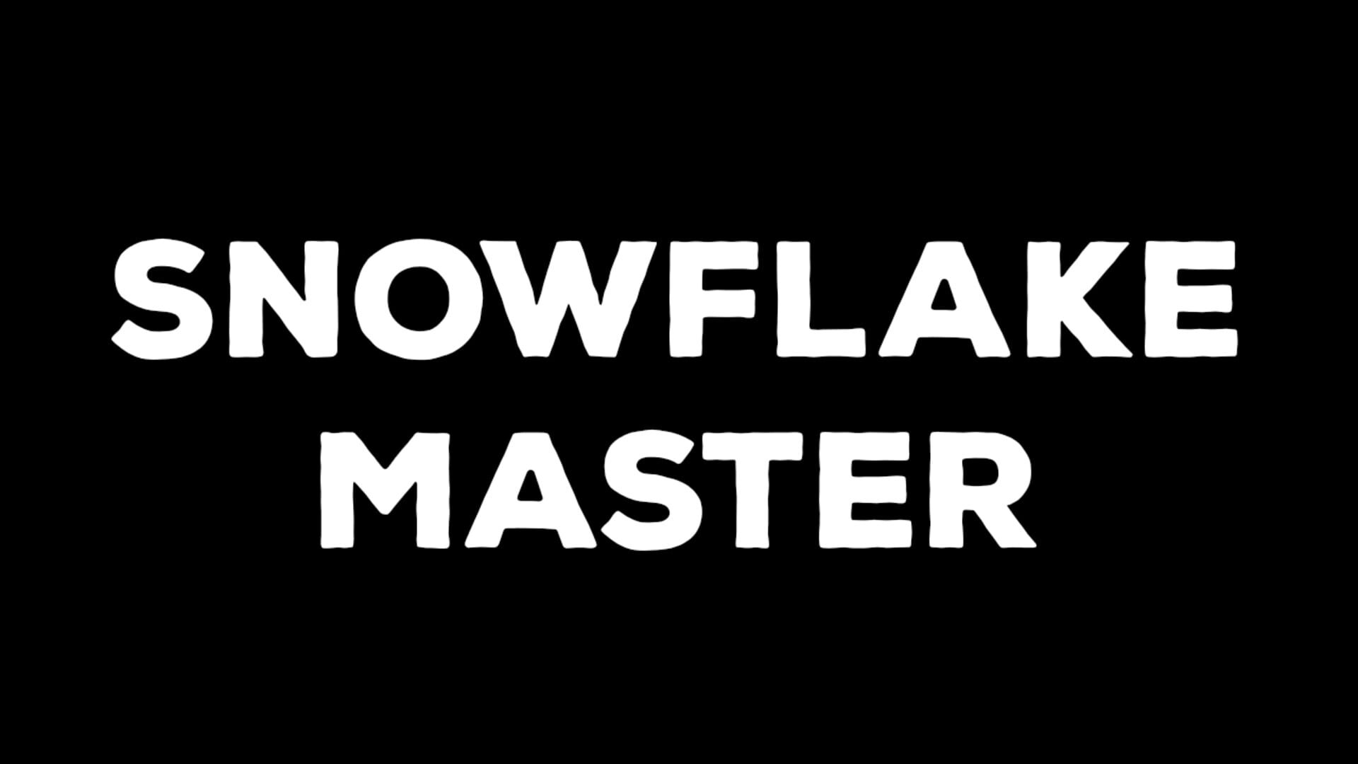 Foto do jogo Snowflake Master