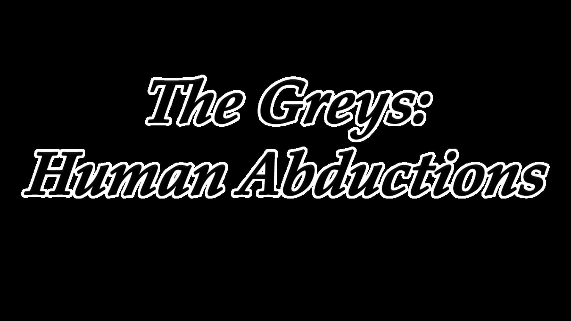 Foto do jogo The Greys: Human Abductions