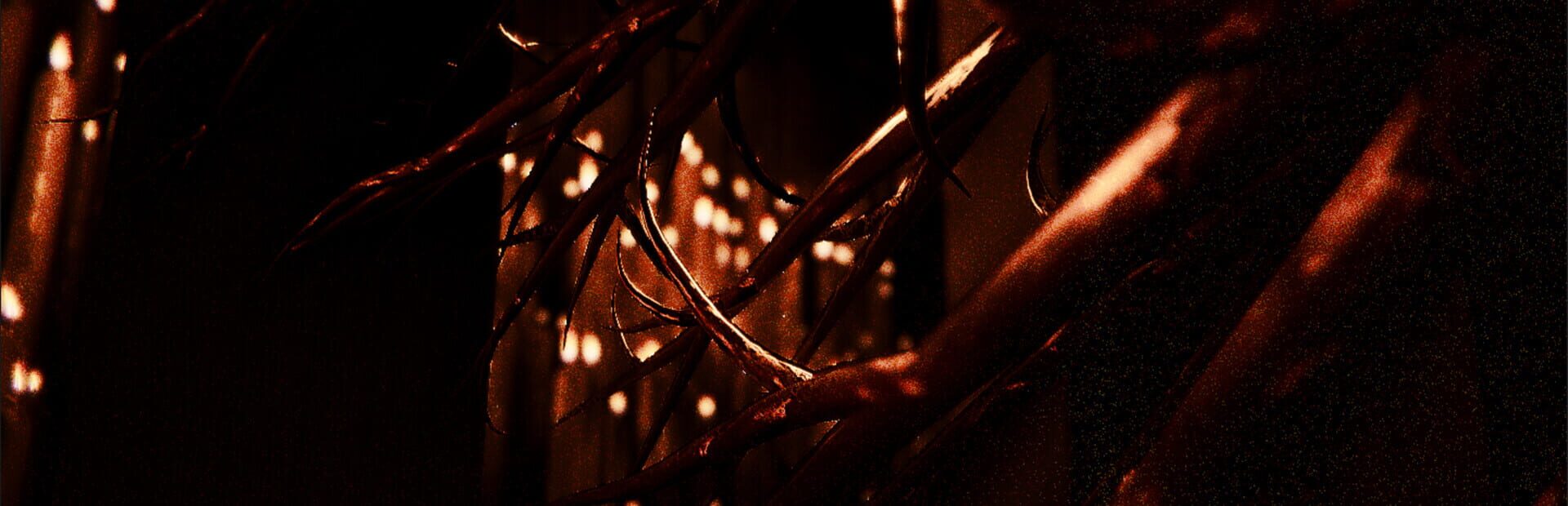 Foto do jogo Cult of Flies